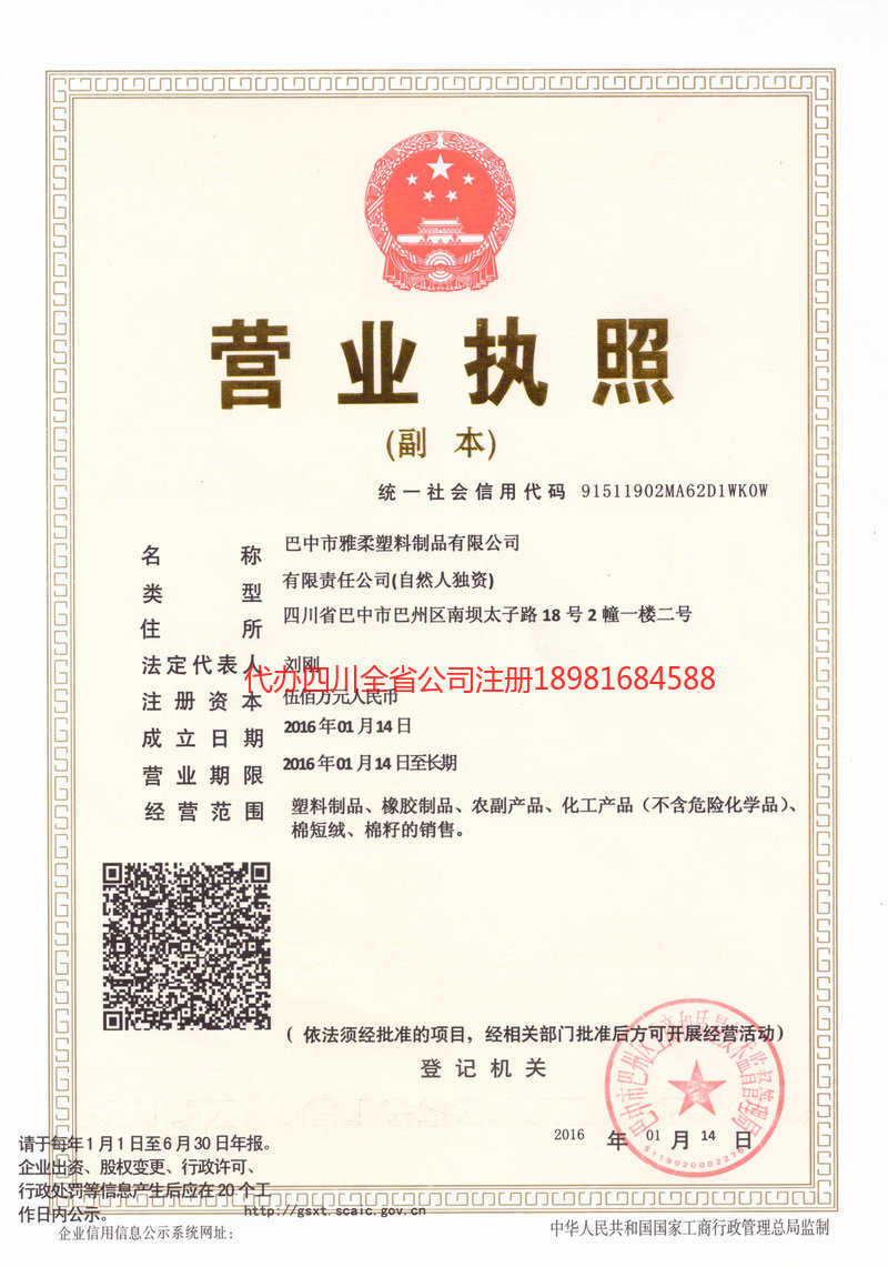师宗师宗雅柔塑料制品有限公司