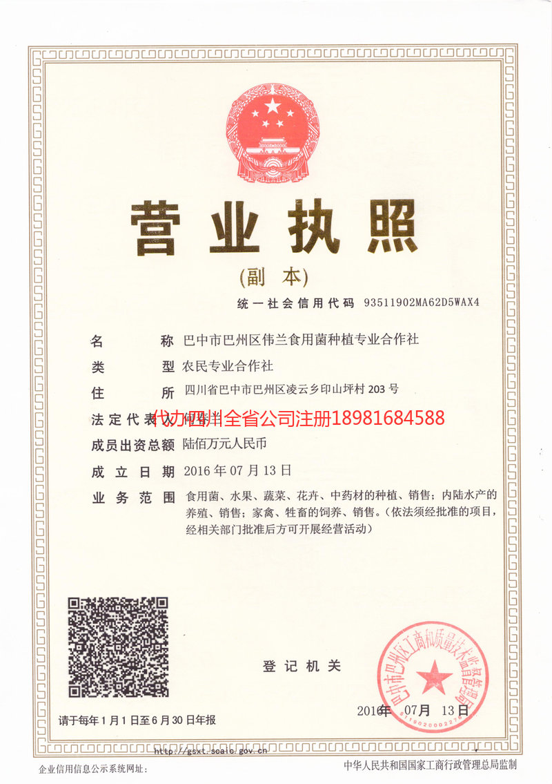 师宗师宗伟兰食用菌种植专业合作社