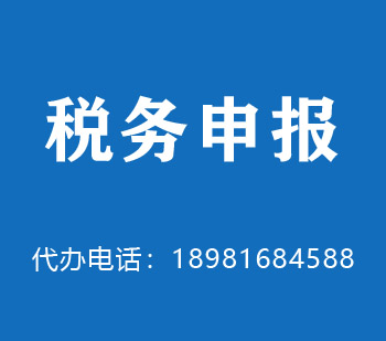 师宗税务申报